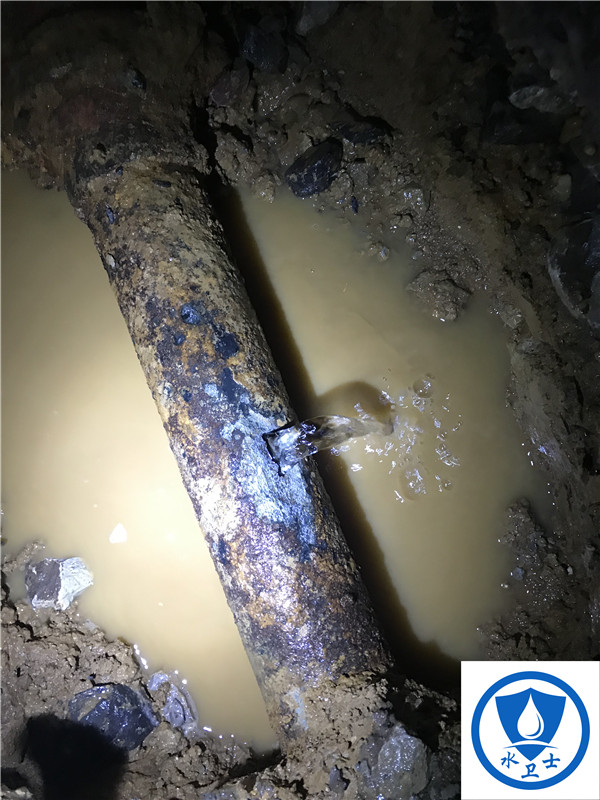 【外網測漏】鎮江市某區人民法院